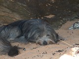 16 Florian in Frankereich im Urlaub 2007