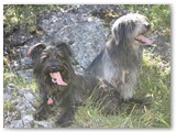 13 Urlaub 2010 im Allgäu