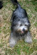 Florian im Mai 2006 Florian im Mai 2006