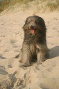 Florian im August 2008
