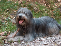 Florain an Ostern 2007