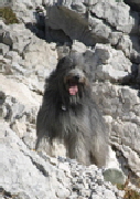 Florian in den Bergen 2005