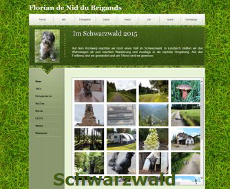Link Schwarzwald 2015