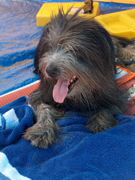 Florian im August 2009 Florian im August 2009