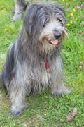 Florian im August 2013