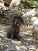 Florian im Oktober 2014 Florian im Oktober 2014