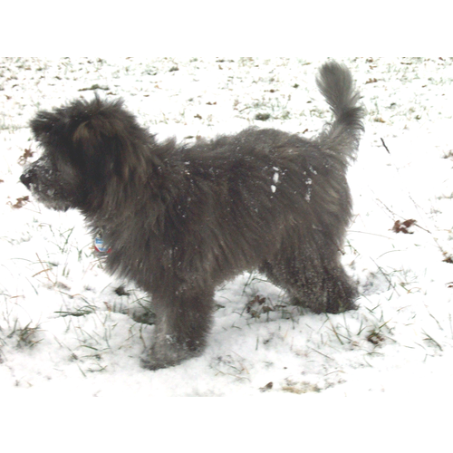 02 Florian im Januar 2003