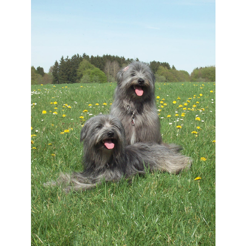 06 Florian im Mai 2003